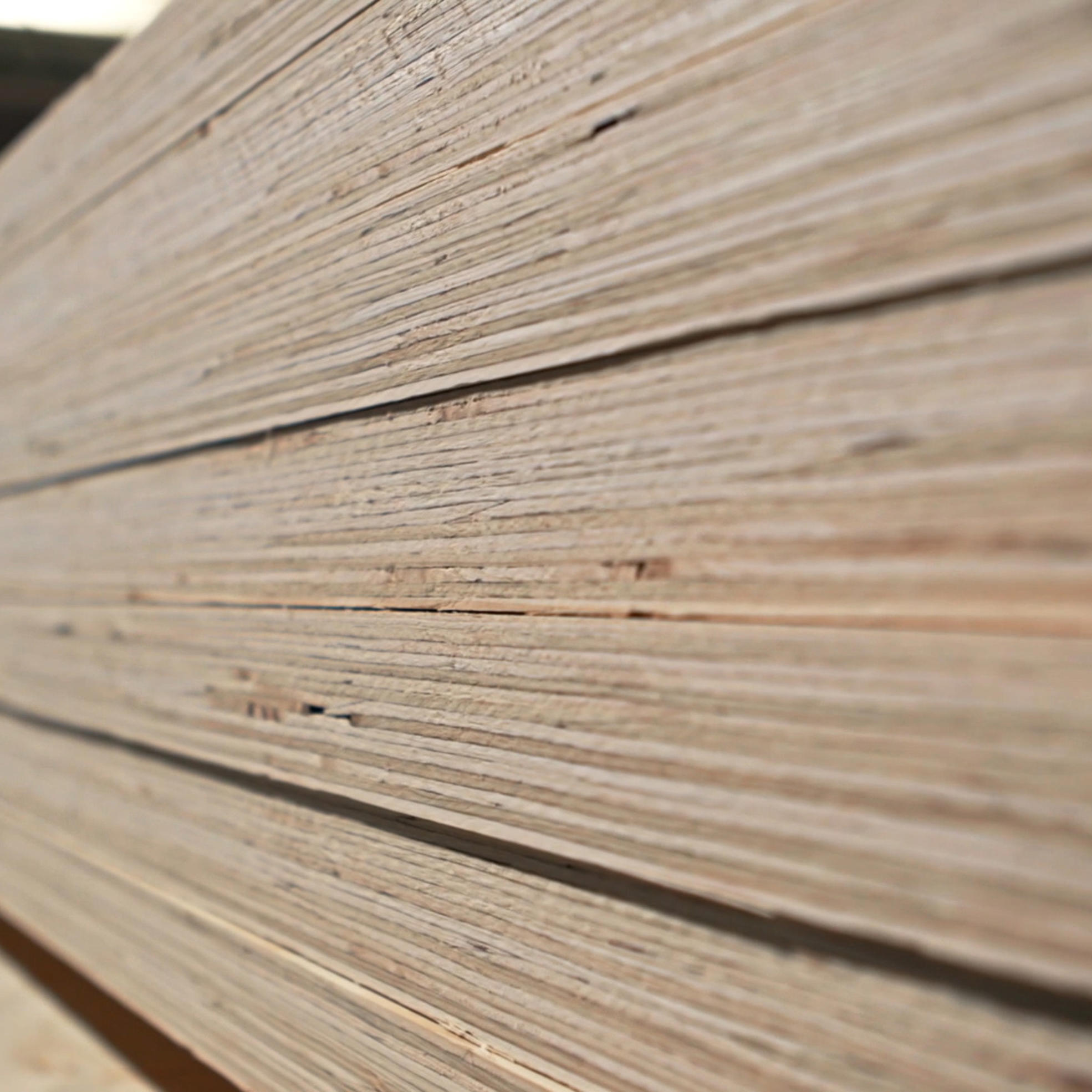 What is laminated veneer lumber