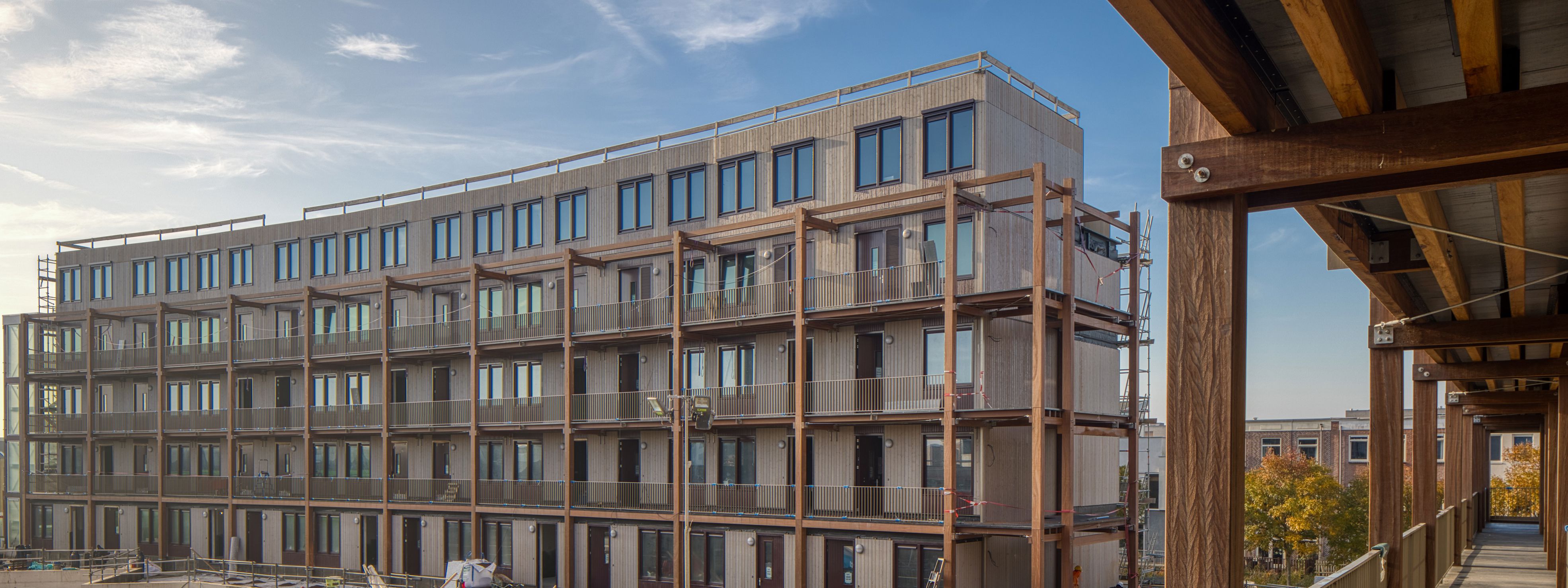 Gewoonhout Xylino engineered wood products reference