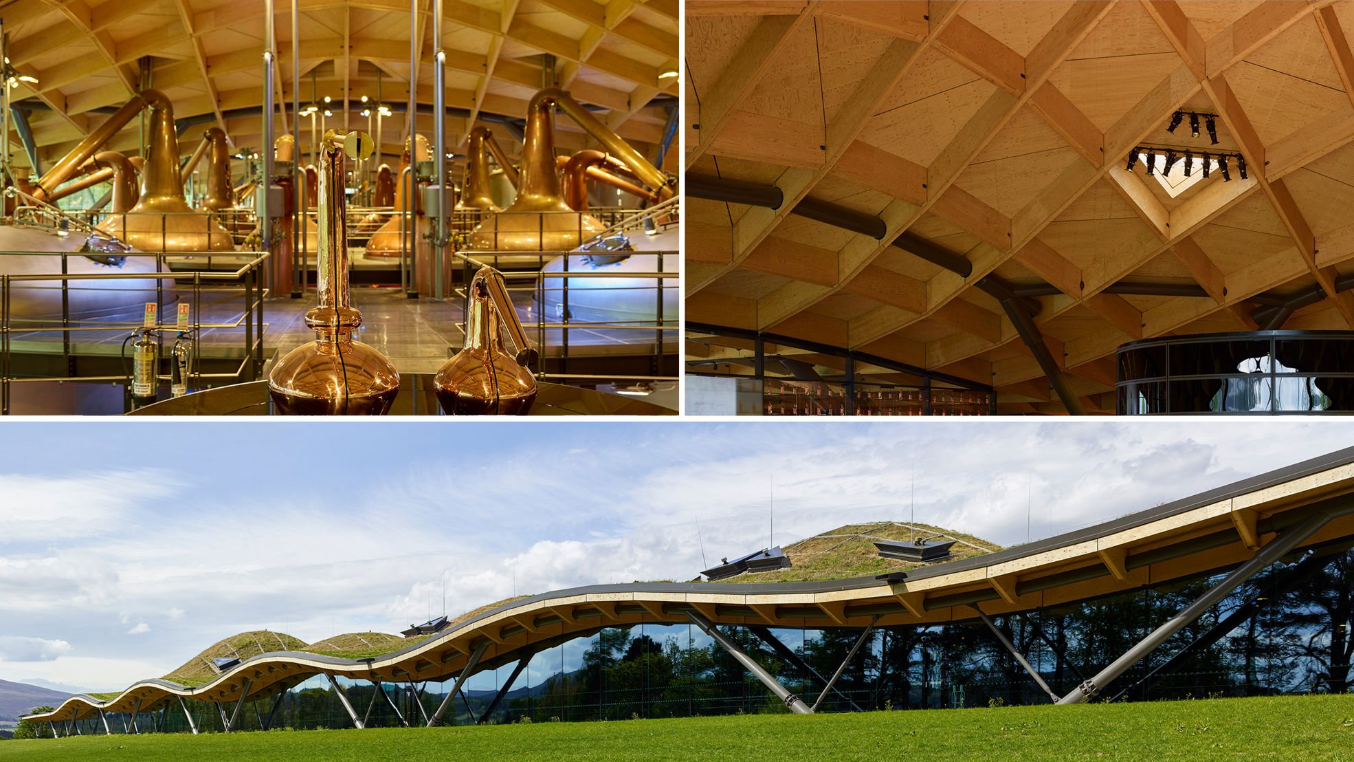 The wooden roof of the Macallan Distillery
