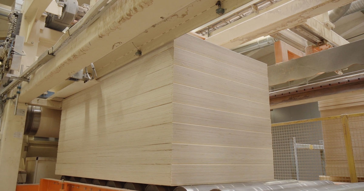 How birch plywood is produced?