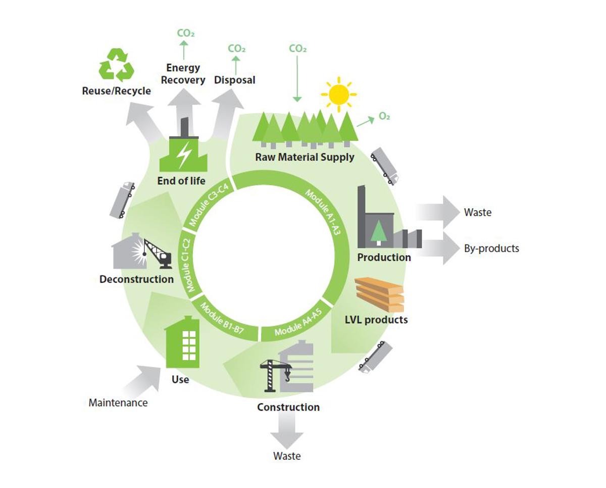 The life cycle assessment 